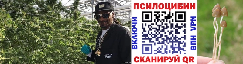 Псилоцибиновые грибы Magic Shrooms  Староминская 
